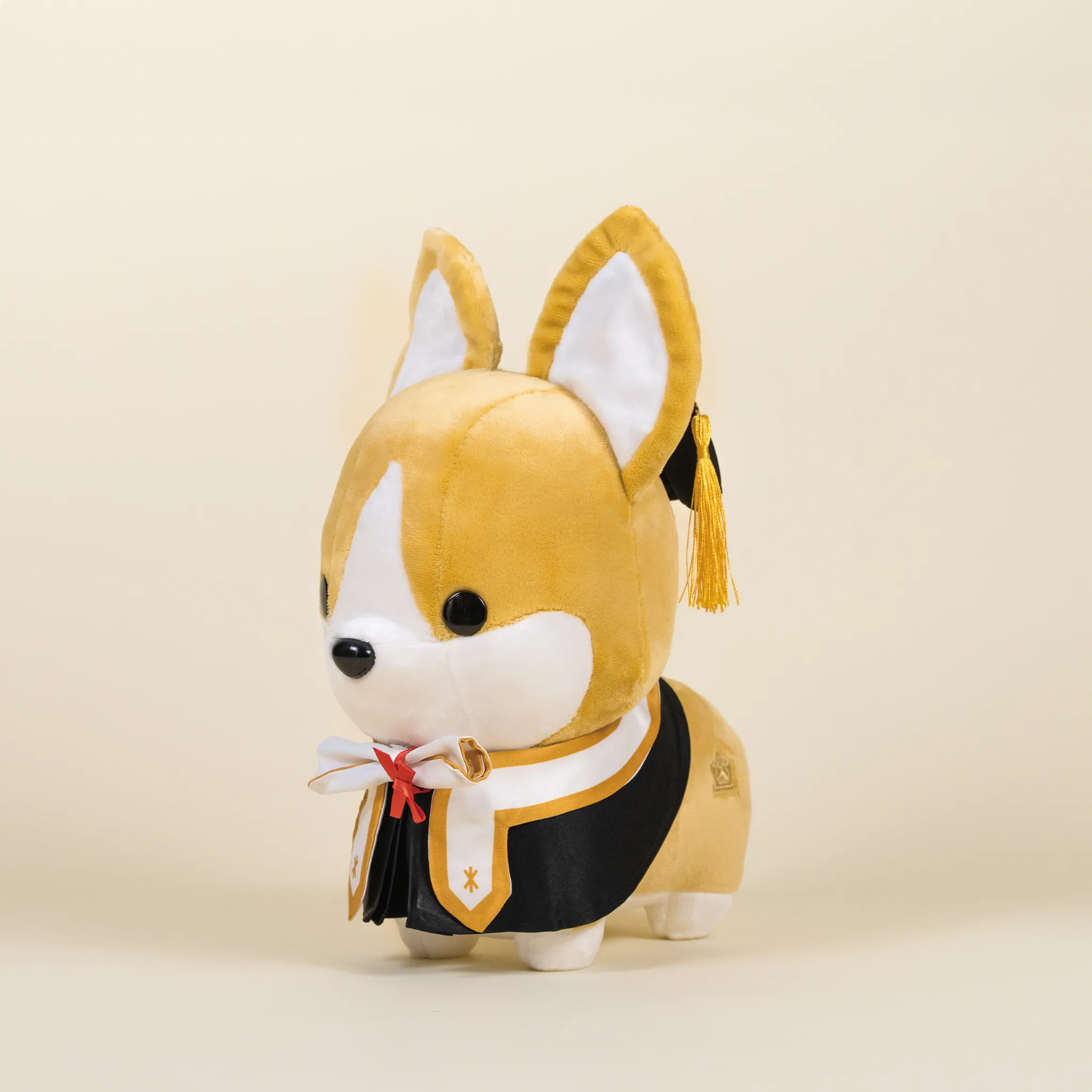 Graduation Corgi